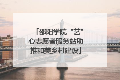 邵阳学院“艺”心志愿者服务站助推和美乡村建设