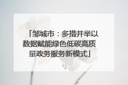 邹城市：多措并举以数据赋能绿色低碳高质量政务服务新模式