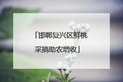 邯郸复兴区鲜桃采摘助农增收