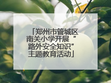 郑州市管城区南关小学开展“路外安全知识”主题教育活动