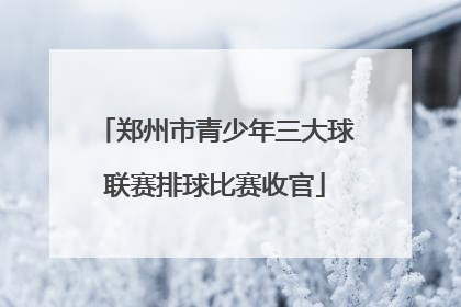 郑州市青少年三大球联赛排球比赛收官