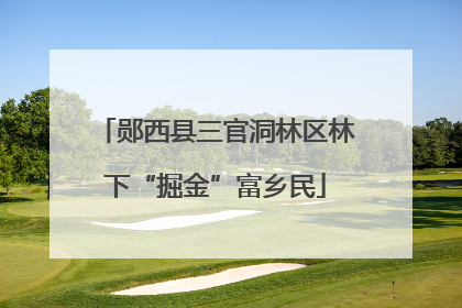 郧西县三官洞林区林下“掘金”富乡民