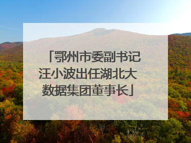 鄂州市委副书记汪小波出任湖北大数据集团董事长