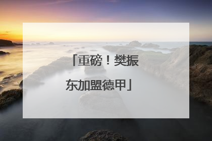 重磅！樊振东加盟德甲
