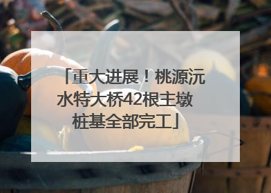重大进展！桃源沅水特大桥42根主墩桩基全部完工
