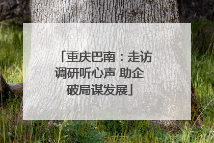 重庆巴南：走访调研听心声 助企破局谋发展