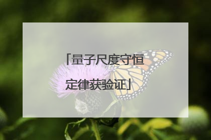量子尺度守恒定律获验证