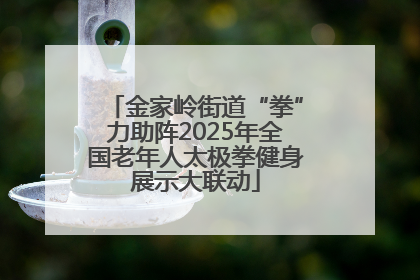 金家岭街道“拳”力助阵2025年全国老年人太极拳健身展示大联动