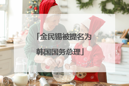 金民锡被提名为韩国国务总理
