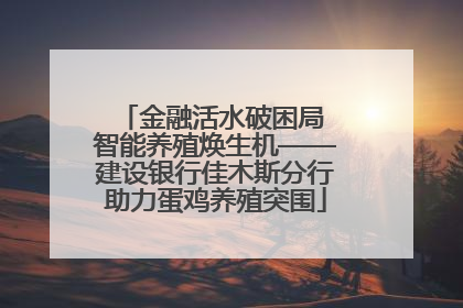 金融活水破困局 智能养殖焕生机——建设银行佳木斯分行助力蛋鸡养殖突围