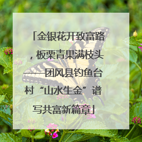 金银花开致富路，板栗青果满枝头——团风县钓鱼台村“山水生金”谱写共富新篇章