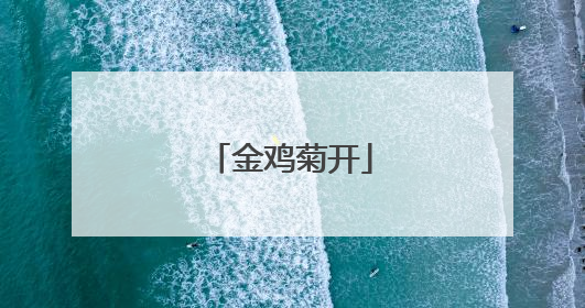 金鸡菊开
