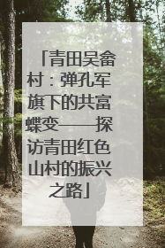 青田吴畲村：弹孔军旗下的共富蝶变——探访青田红色山村的振兴之路