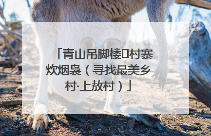 青山吊脚楼 村寨炊烟袅（寻找最美乡村·上敖村）