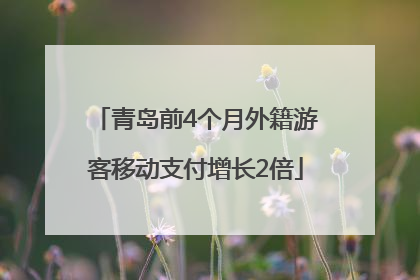 青岛前4个月外籍游客移动支付增长2倍