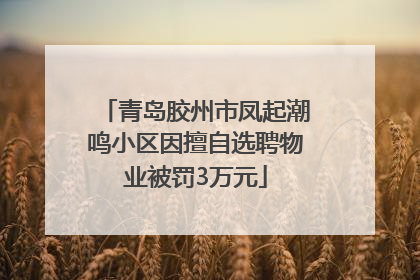 青岛胶州市凤起潮鸣小区因擅自选聘物业被罚3万元