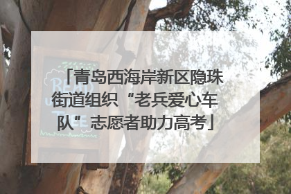 青岛西海岸新区隐珠街道组织“老兵爱心车队”志愿者助力高考