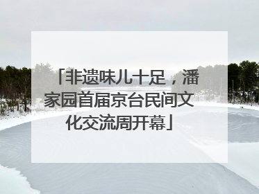 非遗味儿十足，潘家园首届京台民间文化交流周开幕