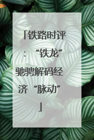 铁路时评：“铁龙”驰骋解码经济“脉动”