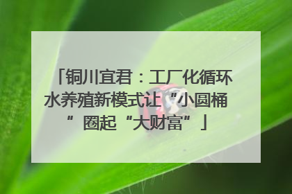 铜川宜君：工厂化循环水养殖新模式让“小圆桶”圈起“大财富”