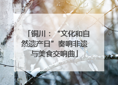 铜川：“文化和自然遗产日”奏响非遗与美食交响曲