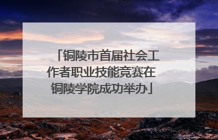 铜陵市首届社会工作者职业技能竞赛在铜陵学院成功举办