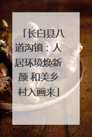 长白县八道沟镇：人居环境焕新颜 和美乡村入画来