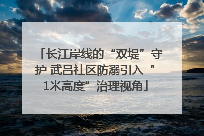 长江岸线的“双堤”守护 武昌社区防溺引入“1米高度”治理视角