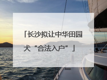 长沙拟让中华田园犬“合法入户”
