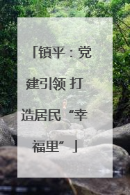 镇平：党建引领 打造居民“幸福里”