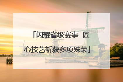 闪耀省级赛事  匠心技艺斩获多项殊荣