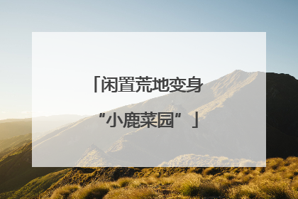 闲置荒地变身“小鹿菜园”