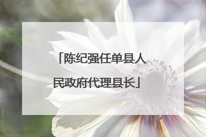 陈纪强任单县人民政府代理县长