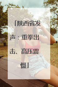 陕西省发声：重拳出击、高压震慑