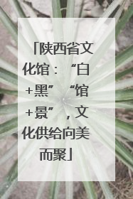 陕西省文化馆：“白+黑”“馆+景”，文化供给向美而聚