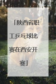 陕西省职工乒乓球比赛在西安开赛