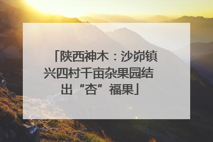 陕西神木：沙峁镇兴四村千亩杂果园结出“杏”福果