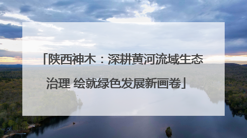 陕西神木：深耕黄河流域生态治理 绘就绿色发展新画卷