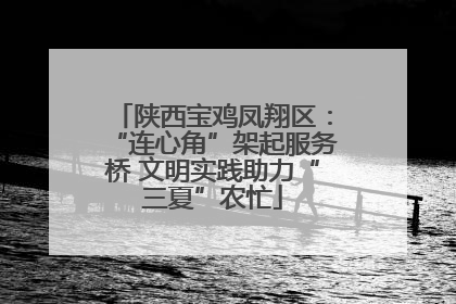 陕西宝鸡凤翔区：“连心角”架起服务桥 文明实践助力“三夏”农忙