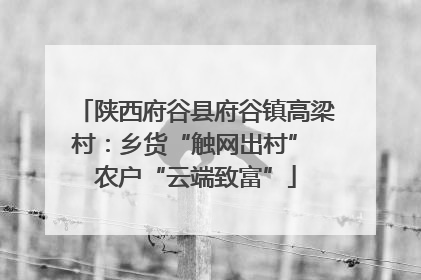 陕西府谷县府谷镇高梁村：乡货“触网出村” 农户“云端致富”