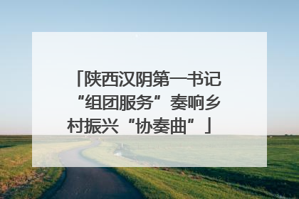 陕西汉阴第一书记“组团服务”奏响乡村振兴“协奏曲”