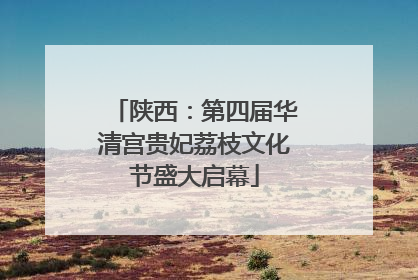陕西：第四届华清宫贵妃荔枝文化节盛大启幕