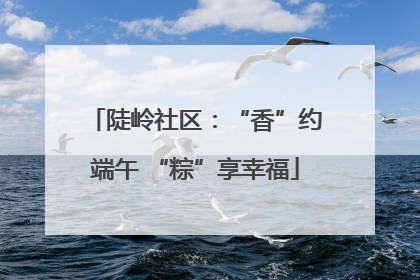 陡岭社区：“香”约端午 “粽”享幸福