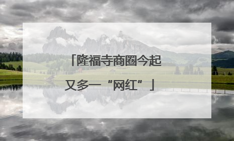 隆福寺商圈今起又多一“网红”