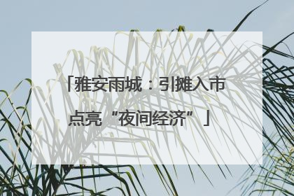 雅安雨城：引摊入市 点亮“夜间经济”