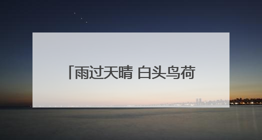 雨过天晴 白头鸟荷花池里找美食｜图集