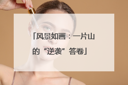 风景如画：一片山的“逆袭”答卷