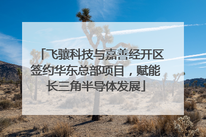 飞骧科技与嘉善经开区签约华东总部项目，赋能长三角半导体发展