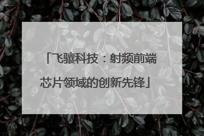 飞骧科技：射频前端芯片领域的创新先锋