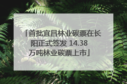首批宜昌林业碳票在长阳正式签发 14.38万吨林业碳票上市